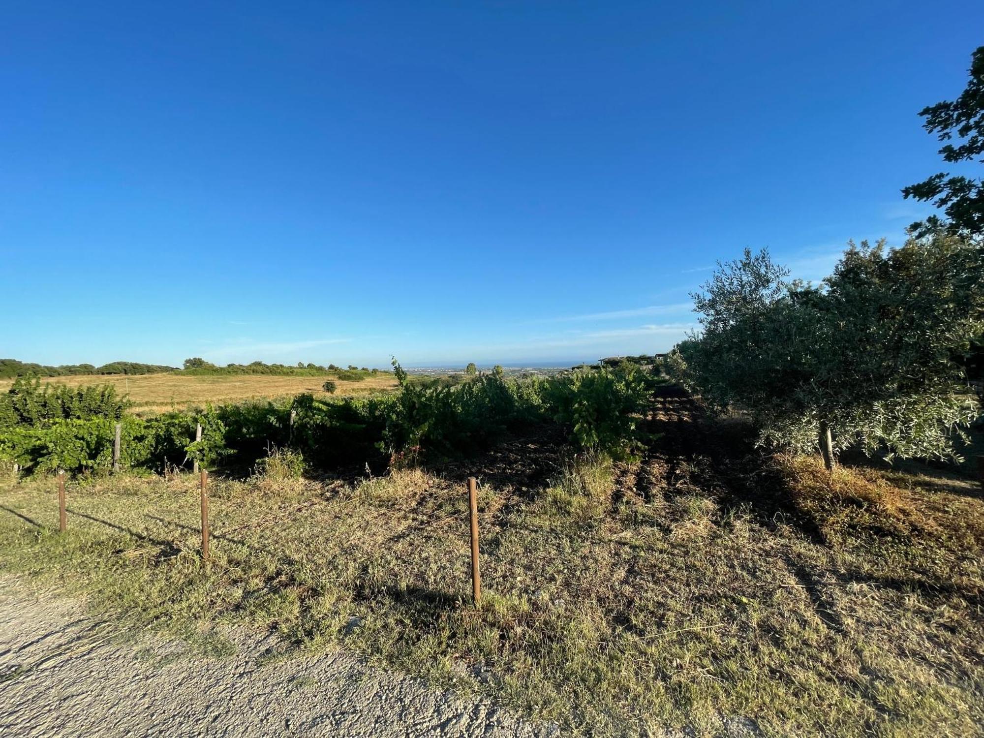 Agriturismo Casale Sasso チェルヴェーテリ エクステリア 写真